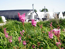 wetland plot